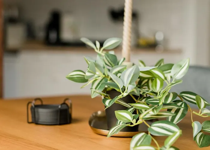 2-room - Old Town & Lahn